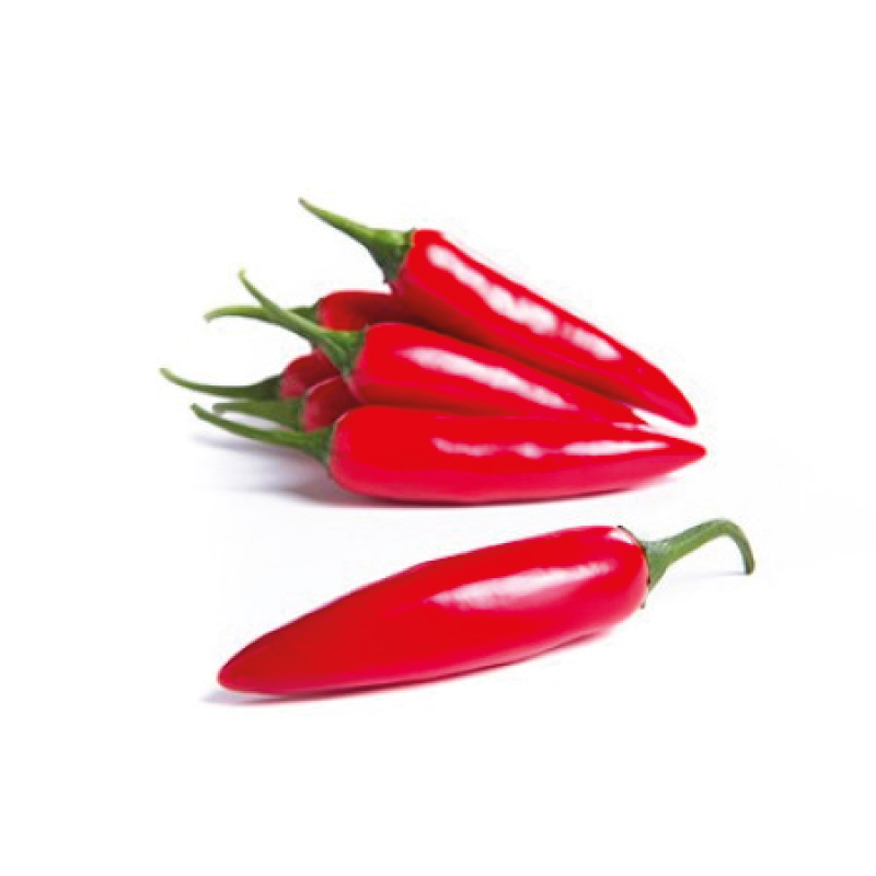 Chiracha-RZ-F1