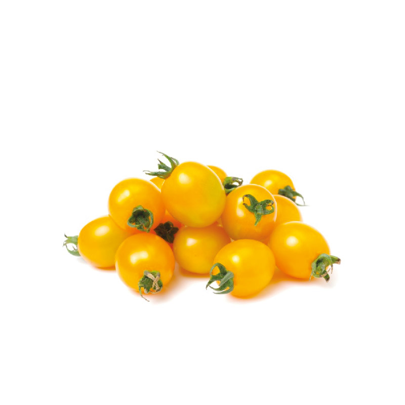 dolly-pomodoro