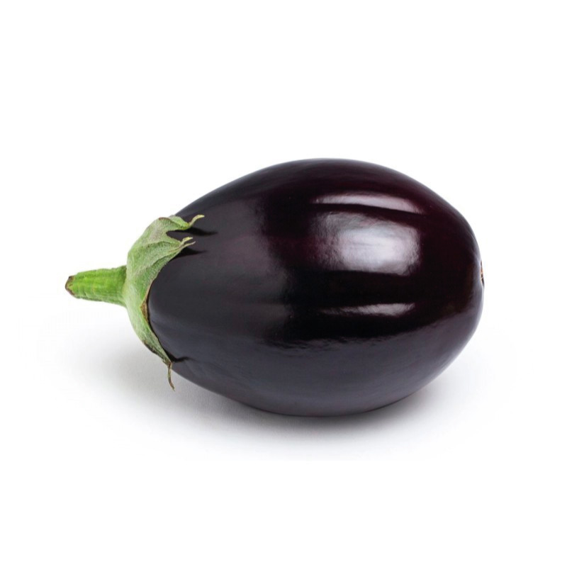 melenzana-tonda-black-beauty-la-margherita