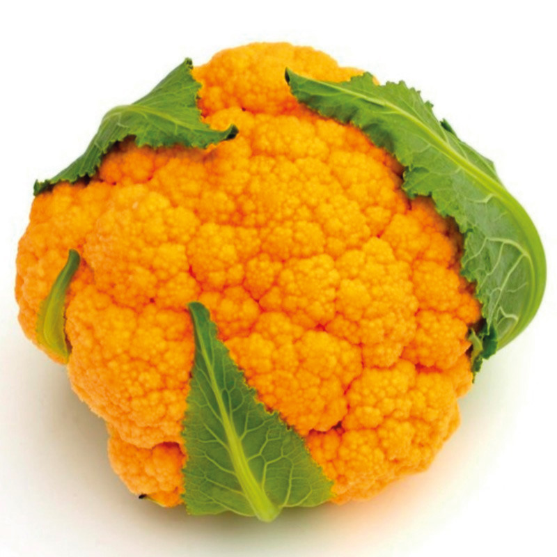 cavolfiore-arancione-la-margherita